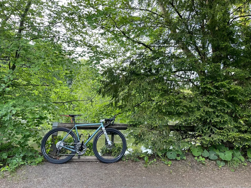 A road bike in the forest